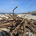Uns Vagelhus 아렌스호프