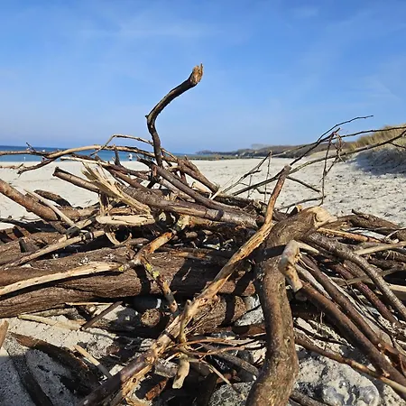 Uns Vagelhus Ahrenshoop